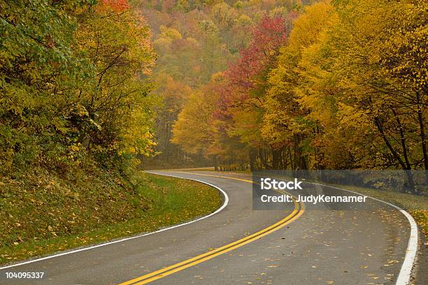 색상화 추절 Road 굽은 도로에 대한 스톡 사진 및 기타 이미지 - 굽은 도로, 버지니아-미국 주, 0명