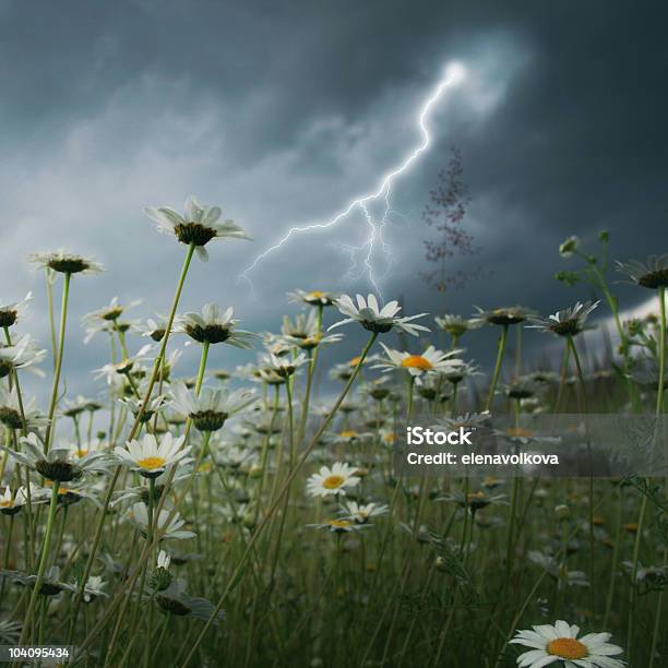 Lightning Strike De Campo Foto de stock y más banco de imágenes de Aire libre - Aire libre, Campo - Tierra cultivada, Cielo