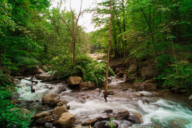 istock Fresh Water Stream Flowing Swiftly Over Rocky Forest Landscape 1040955328