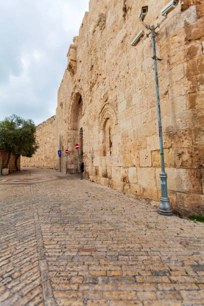 istock Walls of Ancient City and palm tree, Jerusalem 1040955704
