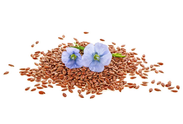 istock Brown flax seeds with flower isolated on white background 1040956352