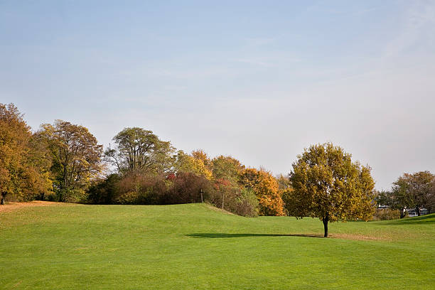 istock beautiful autumn landscape with lonely tree 104096090