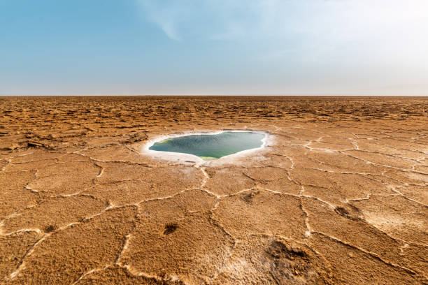 istock Water pool in the Danakil Depression, Ethiopia 1040961874