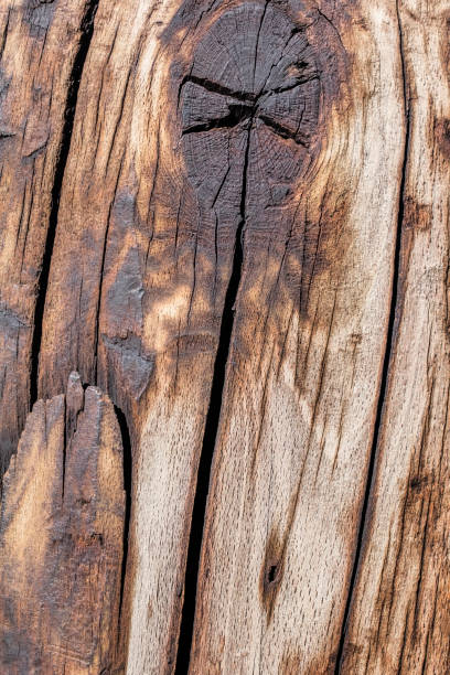 istock Old Weathered Timber Bollard Grunge Texture 1040962240