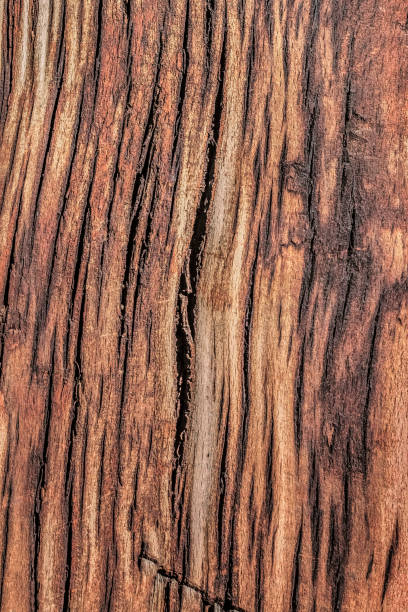 istock Old Weathered Timber Bollard Grunge Texture 1040965296