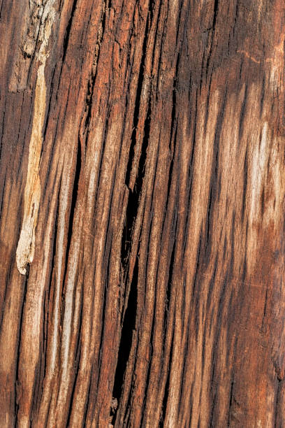 istock Old Weathered Timber Bollard Grunge Texture 1040966654