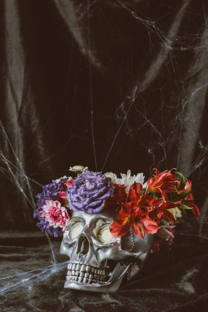 istock silver skull with flowers on black cloth with spider web for halloween 1040969614