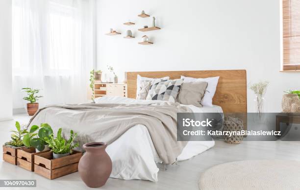 Pillows And Sheets On Wooden Bed In Bright Bedroom Interior With Plants And Windows Real Photo Stock Photo - Download Image Now