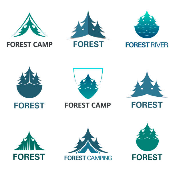 ilustraciones, imágenes clip art, dibujos animados e iconos de stock de vector diseño concepto bosque campo emblema - pine wood forest river