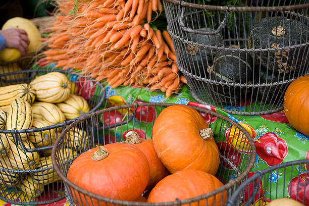 istock Autumn gourds and pumpkins 104098165