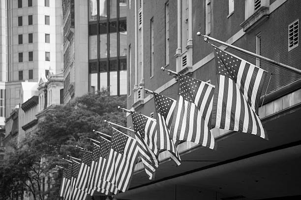 istock Black and White American Flags in a Row 104098977