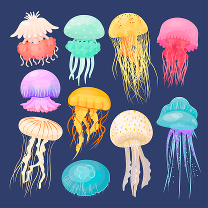 Ocean jellyfish bright set on dark blue. Beautiful marine coelenterate with a jelly like bell, transparent and colorful sea life. Vector flat style cartoon illustration isolated on blue background