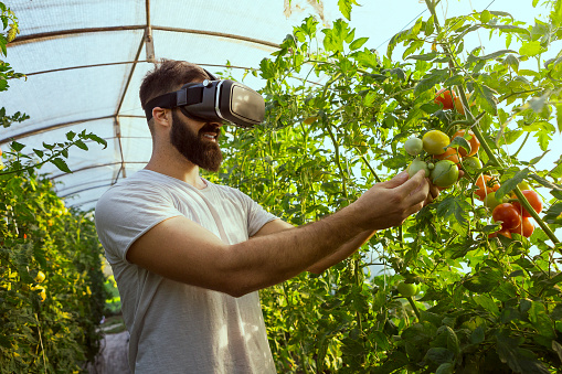 agriculture and smart farming concept vr glasses