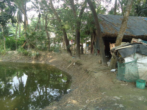 istock Kharighat, Diamond Harbour, West Bengal, India 1041000028