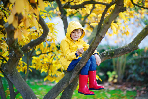 istock little kid boy in colorful clothes enjoying climbing on tree on 1041000300