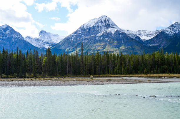 istock Athabasca River and Mountain range in Autumn (without ,yellow leaves), The Icefields Parkway, Canadian Rockies, Alberta, Canada 1041003938
