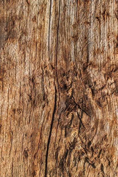 istock Old Weathered Timber Bollard Grunge Texture 1041005858