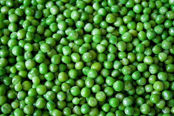 Peas - Medium Close Up stock photo