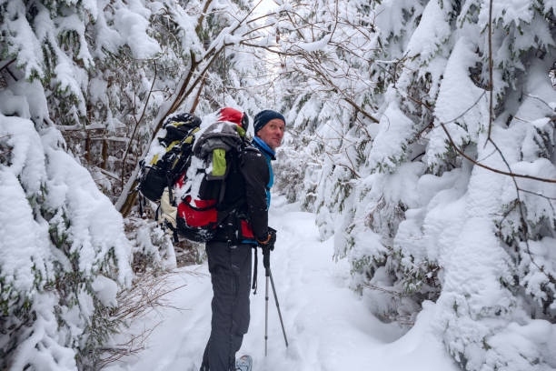istock Happy adventurer among huge pine trees 1041014230