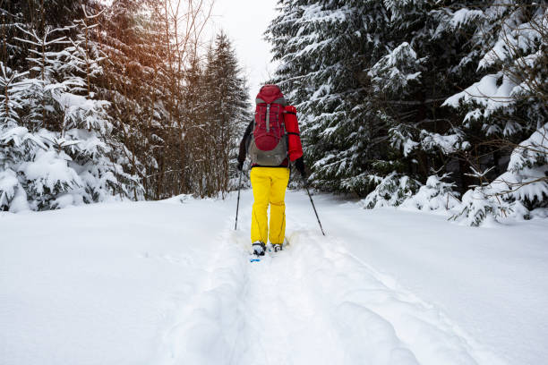 istock Adventurer, with big backpack, walks in snowshoes 1041014252
