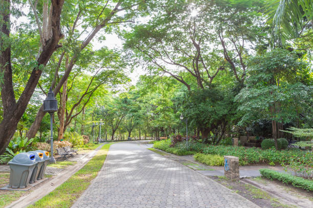 istock Road in the beautiful park 1041019584