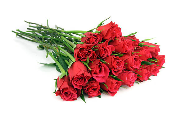 istock Huge bunch of red roses isolated on white. 104102301