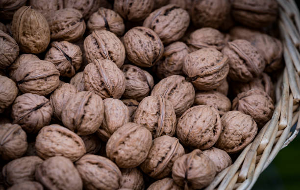 istock Background of a walnut in a wicker basket 1041027722