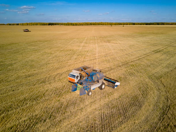 Aerial view of agricultural process of grain harvesting stock photo