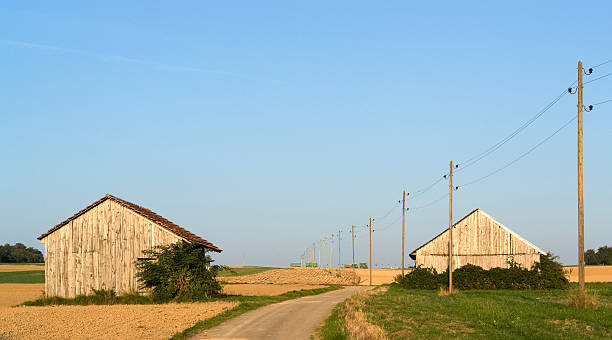 istock vespertine agriculture at summer time 104104184