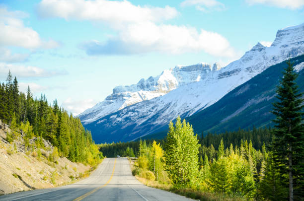 istock The Icefields Parkway in Autumn (without car), Canadian Rockies, Alberta, Canada 1041050138