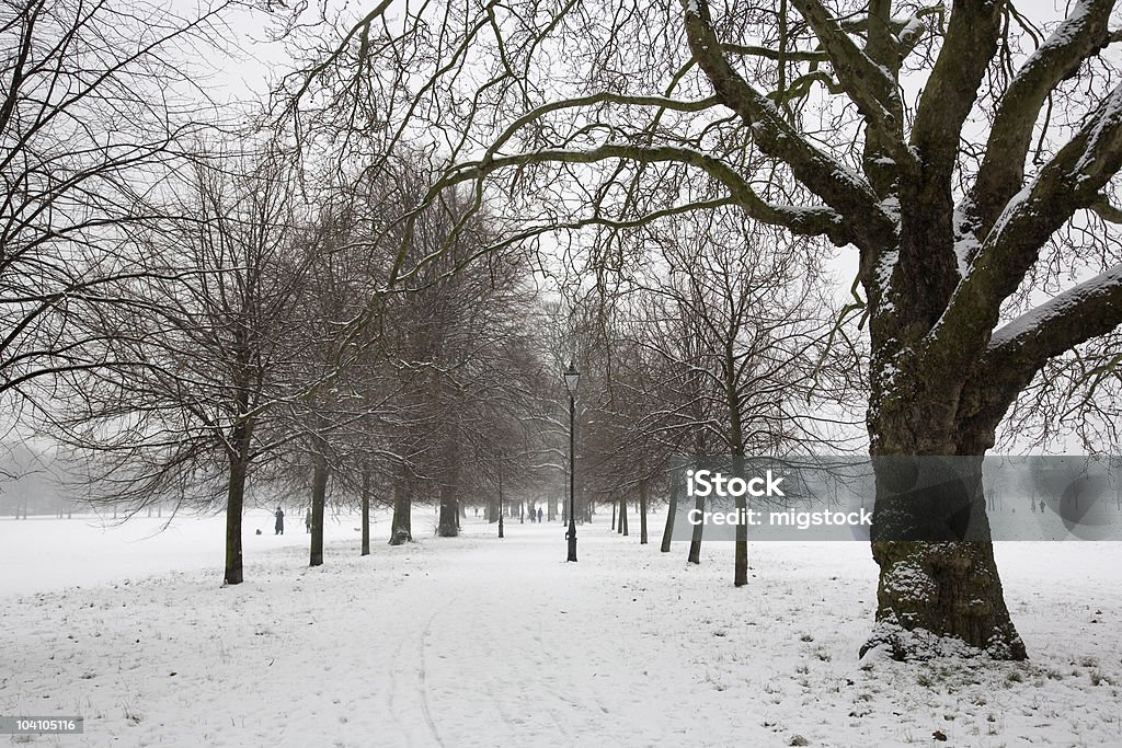 Clapham Snow  Bare Tree Stock Photo