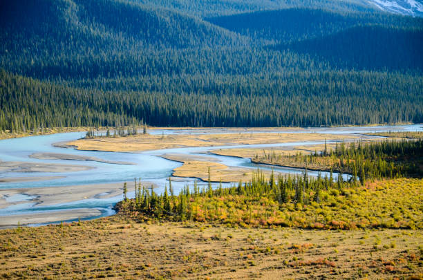 istock North Saskatchewan River in autumn evening at Saskatchewan Crossing along The Icefields Parkway, Canadian Rockies, Alberta, Canada 1041051738