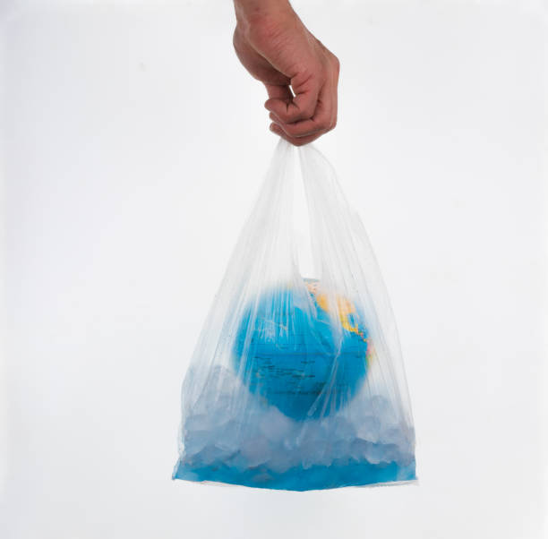 istock hand with globe in a bag ,World Environment Day. 1041057106