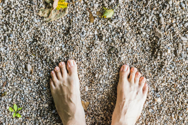 istock A barefoot aerial view on stone surface in the forest 1041058214