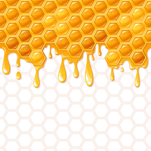 Seamless honeycomb pattern with flowing honey Vector illustration hexagon illustrations stock illustrations