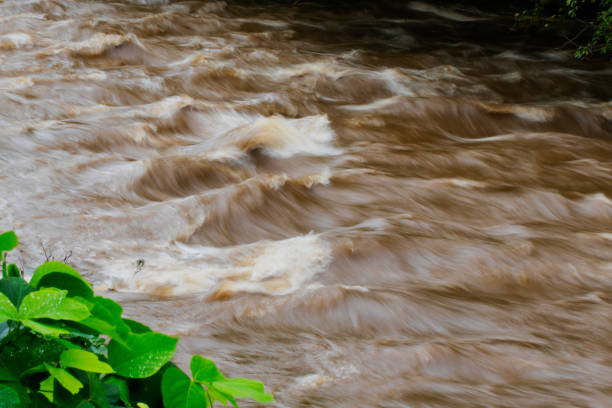 Time-exposure of standing waves in the muddy, rushing waters of the Readdies River after Hurricane Florence.