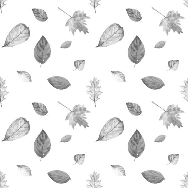 wzór beznapędowy z różnych akwarelowych czarno-białych jesiennych liści. - chestnut chestnut tree backgrounds seamless stock illustrations
