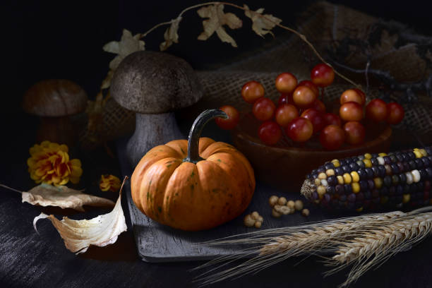 istock Autumn still life in low key with small orange pumpkin and Fall decorations 1041075788