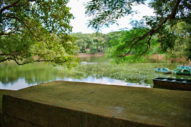 LAKE LAKE VIEW IN NATIONAL PARK IN BANGALORE bannerghatta national park stock pictures, royalty-free photos & images