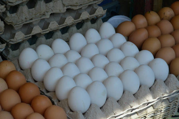 istock White and brown eggs are safely packed in cardboard packaging 1041076698