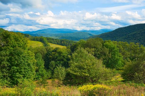 Catskills mountain vista Vista of the Catskills from a scenic lookout near Andes, New York eastern usa stock pictures, royalty-free photos & images