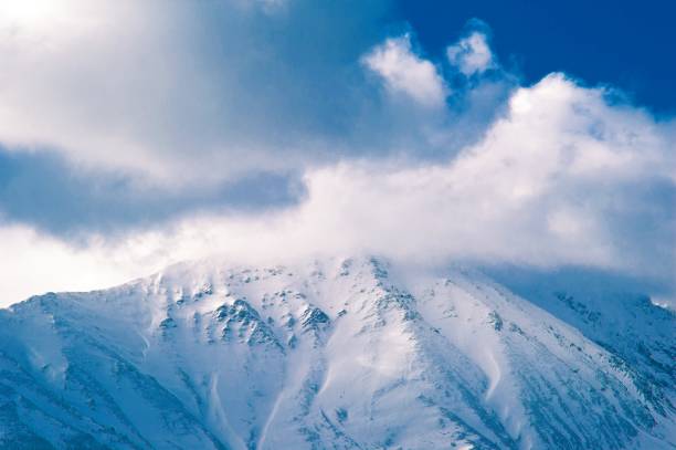 istock snowy winter landscape in christmas 1041080514