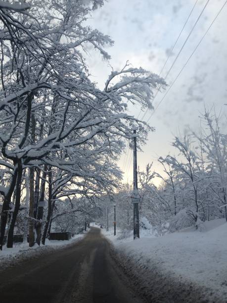 istock snowy winter landscape in christmas 1041080548