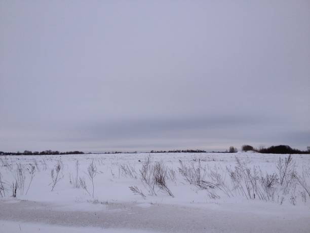 istock snowy winter landscape in christmas 1041080610