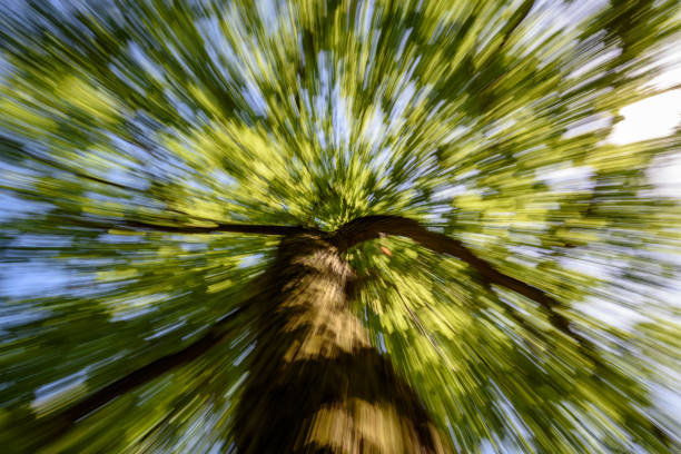 istock camera motion blur of summer textured background 1041082334