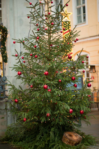 istock Christmas Tree Holiday Decoration 1041086154