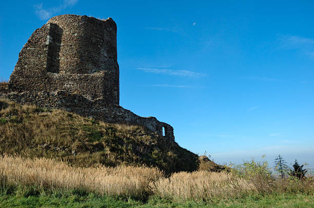 istock Keep of the Czech castle ruin 104108666