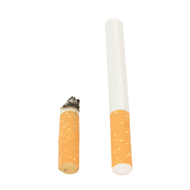 istock cigarette full and cigarette butt isolated on white background 1041088474