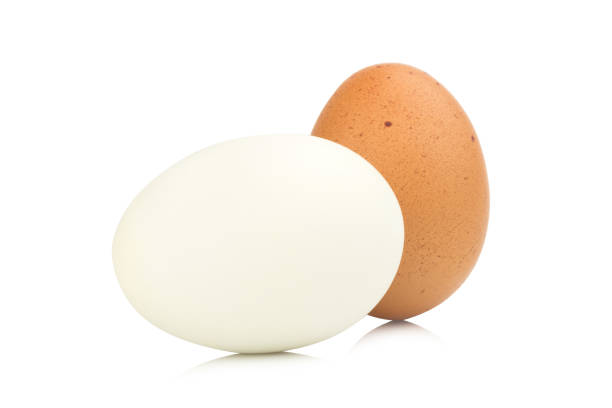istock egg chiken and egg duck isolated on white background 1041088568
