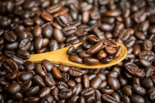 Closeup of fresh roasted coffee beans on the wooden spoon on the table, shot in the studio
